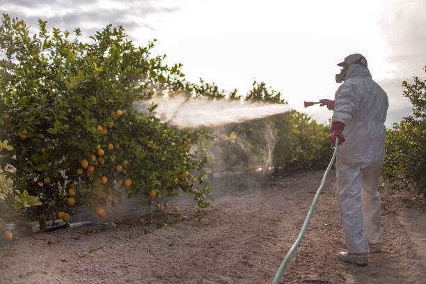 Best Pest Prevention Services  in Dallas, GA