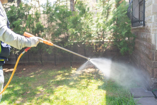 Reliable Dallas, GA Pest Control Solutions