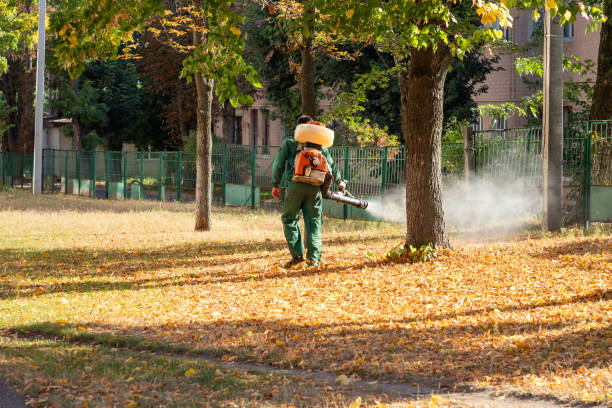 Best Pest Control for Restaurants  in Dallas, GA