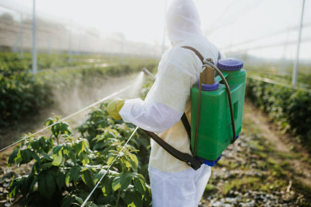 Best Emergency Pest Control  in Dallas, GA